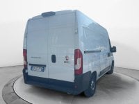 Auto Usate A Avellino | Fiat Professional Ducato Serie 8 Furgone Lastrato 33Q Mh2 160Cv 2.2 Multi...