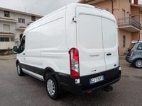 Auto Usate A Salerno | Ford Transit 330 2.0 Tdci Mhev 130Cv Trend L2H2 E6.2 - Con Gancio Di Traino