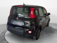Auto Usate A Avellino | Fiat Panda 1.0 70Cv Hybrid