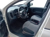 Auto Usate A Salerno | Fiat Professional Panda Van Van 1.0 Hybrid Pop 70Cv 2Posti Serie 4 E6D