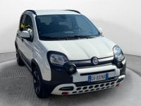 Auto Usate A Avellino | Fiat Panda 1.0 70Cv Hybrid Cross