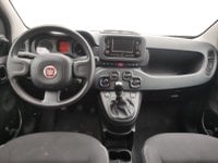 Auto Usate A Avellino | Fiat Panda 1.0 70Cv Hybrid Panda