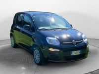 Auto Usate A Avellino | Fiat Panda 1.0 70Cv Hybrid Gpl Brc - Block Shaft