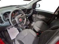 Auto Usate A Avellino | Fiat Panda 1.0 70Cv Hybrid Cross