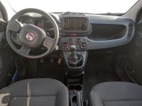 Auto Usate A Avellino | Fiat Panda 1.0 70Cv Hybrid Panda