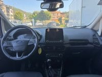 Auto Usate A Benevento | Ford Ecosport 1.0 Ecoboost Active S&Amp;S 125Cv