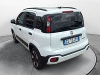 Auto Usate A Avellino | Fiat Panda 1.0 70Cv Hybrid Cross