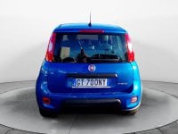 Auto Usate A Avellino | Fiat Panda My24 1.0 70Cv Hybrid Panda