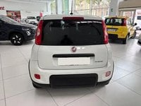 Auto Usate A Avellino | Fiat Panda 1.0 70Cv Hybrid Panda