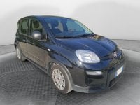 Auto Usate A Avellino | Fiat Panda 1.0 70Cv Hybrid Panda