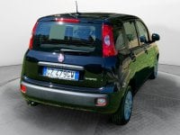 Auto Usate A Avellino | Fiat Panda 1.0 70Cv Hybrid Gpl Brc - Block Shaft