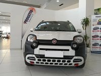 Auto Usate A Avellino | Fiat Panda 1.0 70Cv Hybrid Cross