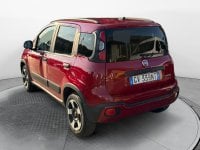 Auto Usate A Avellino | Fiat Panda 1.0 70Cv Hybrid Cross