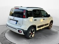 Auto Usate A Avellino | Fiat Panda 1.0 70Cv Hybrid Cross