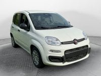 Auto Km0 A Avellino | Fiat Pandina 1.0 65Cv Hybrid Icon