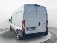 Auto Usate A Avellino | Fiat Professional Ducato Serie 8 Furgone Lastrato 33Q Mh2 160Cv 2.2 Multi...