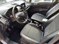 Ford EcoSport Benzina 1.0 EcoBoost 125 CV Start&Stop Titanium GARANZIA Usata in provincia di Roma - MOTORSTAR SRL img-8