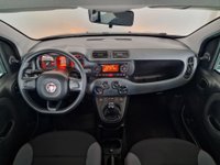 FIAT Panda Benzina/GPL 1.2 EasyPower Easy Usata in provincia di Rimini - Errepiù - Ruggeri img-11