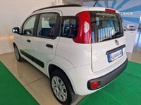 FIAT Panda Benzina 1.2 Easy Usata in provincia di Rimini - Errepiù - Ruggeri img-7