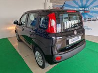 FIAT Panda Benzina/GPL 1.2 EasyPower Easy Usata in provincia di Rimini - Errepiù - Ruggeri img-7