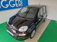 FIAT Panda Benzina/GPL 1.2 EasyPower Easy Usata in provincia di Rimini - Errepiù - Ruggeri img-1