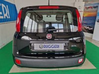 FIAT Panda Benzina/GPL 1.2 EasyPower Easy Usata in provincia di Rimini - Errepiù - Ruggeri img-6