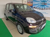FIAT Panda Benzina/GPL 1.2 EasyPower Easy Usata in provincia di Rimini - Errepiù - Ruggeri img-4