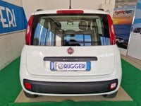 FIAT Panda Benzina 1.2 Easy Usata in provincia di Rimini - Errepiù - Ruggeri img-6