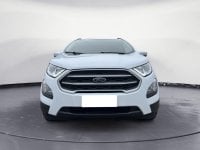 Auto Ford Ecosport 1.5 Ecoblue 100 Cv Start&Stop Plus Usate A Verona