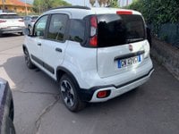 FIAT Panda Cross Ibrida 1.0 FireFly S&S Hybrid Usata in provincia di Catania - Gidauto Usato img-5