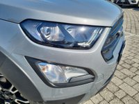 Ford EcoSport Benzina 1.0 EcoBoost 125 CV Start&Stop Active Usata in provincia di Lucca - Auto P Srl PONTETETTO img-17