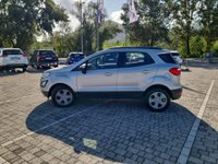 Ford EcoSport Benzina 1.0 EcoBoost 125 CV Start&Stop aut. Business Usata in provincia di Lucca - Auto P Srl PONTETETTO img-4