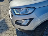 Ford EcoSport Benzina 1.0 EcoBoost 125 CV Start&Stop aut. Business Usata in provincia di Lucca - Auto P Srl PONTETETTO img-16