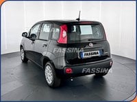 Auto Km0 A Milano | Fiat Pandina 1.0 Firefly 65Cv S&S 6M Hybrid Icon