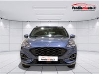 Auto Usate A Padova | Ford Kuga Kuga 1.5 Ecoboost St-Line 2Wd 150Cv