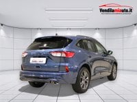 Auto Usate A Padova | Ford Kuga Kuga 1.5 Ecoboost St-Line 2Wd 150Cv