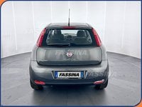 Auto Usate A Milano | Fiat Punto Punto 1.2 8V 5 Porte Easy