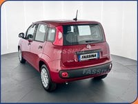 Auto Km0 A Milano | Fiat Panda Panda 1.0 Firefly S&S Hybrid Icon