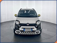 Auto Usate A Milano | Fiat Panda Panda 1.0 Firefly S&S Hybrid Pandina