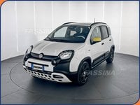 Auto Usate A Milano | Fiat Panda Panda 1.0 Firefly S&S Hybrid Pandina