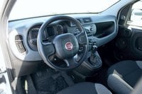Auto Usate A Padova | Fiat Panda Panda 1.0 Firefly S&S Hybrid - Padova