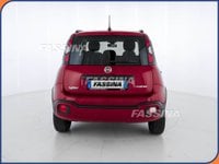 Auto Usate A Milano | Fiat Panda Cross Panda 1.0 Firefly Hybrid Cross S&S 70Cv 5P.ti