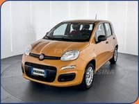 Auto Usate A Milano | Fiat Panda Panda 1.2 Easy S&S 69Cv