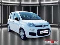 Auto Usate A Padova | Fiat Panda Panda 1.0 Firefly S&S Hybrid - Padova