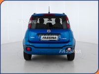 Auto Usate A Milano | Fiat Panda Cross Panda 1.0 Firefly Hybrid Cross S&S 70Cv 5P.ti