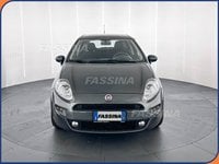 Auto Usate A Milano | Fiat Punto Punto 1.2 8V 5 Porte Easy