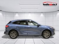 Auto Usate A Padova | Ford Kuga Kuga 1.5 Ecoboost St-Line 2Wd 150Cv