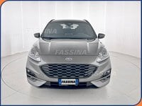 Auto Usate A Milano | Ford Kuga Kuga 2.0 Ecoblue 120 Cv Aut. 2Wd St-Line