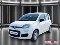 Auto Usate A Padova | Fiat Panda Panda 1.0 Firefly S&S Hybrid - Padova