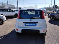 FIAT Panda Ibrida 1.0 FireFly S&S Hybrid Km 0 in provincia di Rieti - Auto Rieti Service img-3